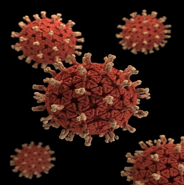 C型肝炎ウイルスのイメージ画像
